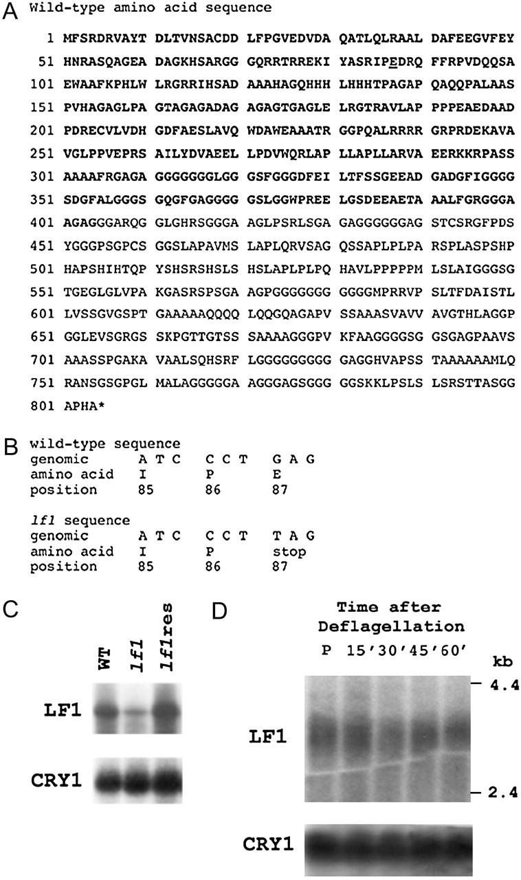 Figure 5.—