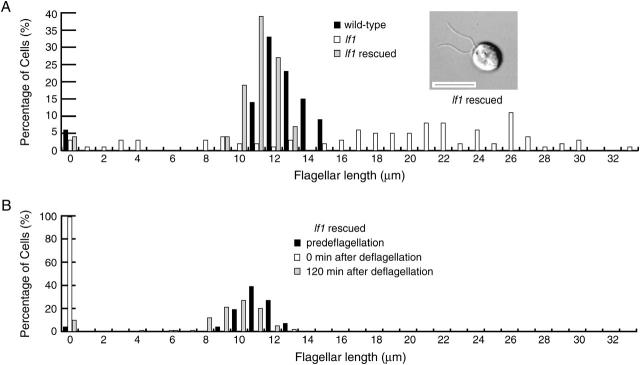 Figure 3.—