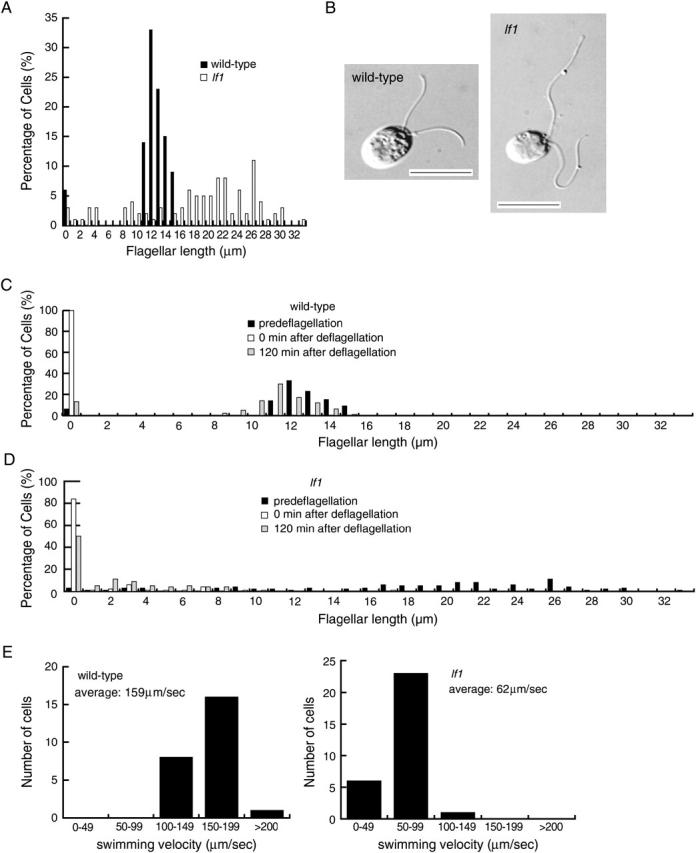 Figure 1.—