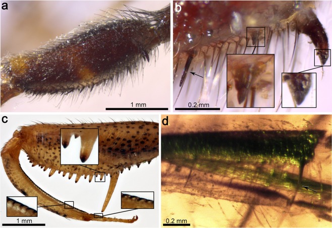 Figure 7