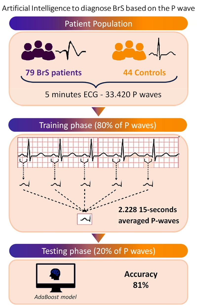 Graphical Abstract