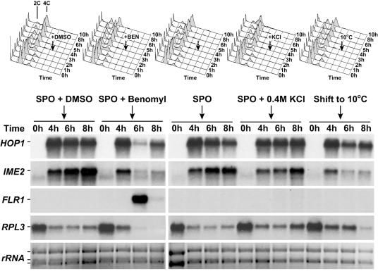 FIG. 7.