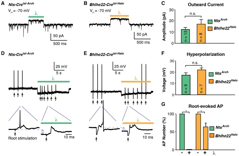 Figure 6.