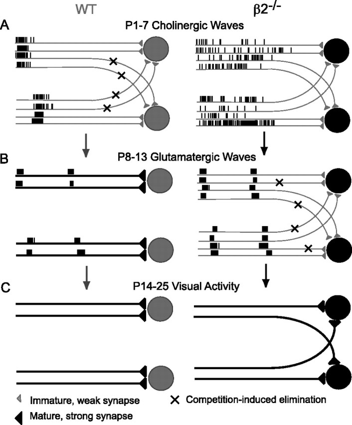 Figure 7.