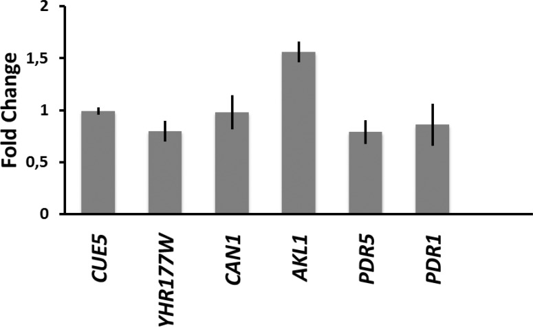 Fig 6