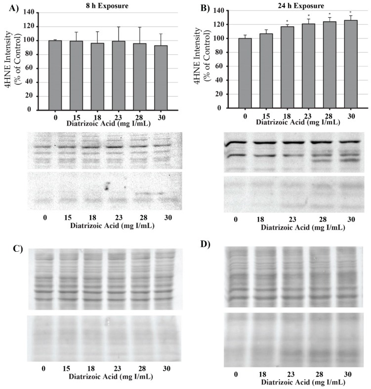 Figure 12