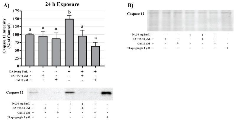 Figure 22