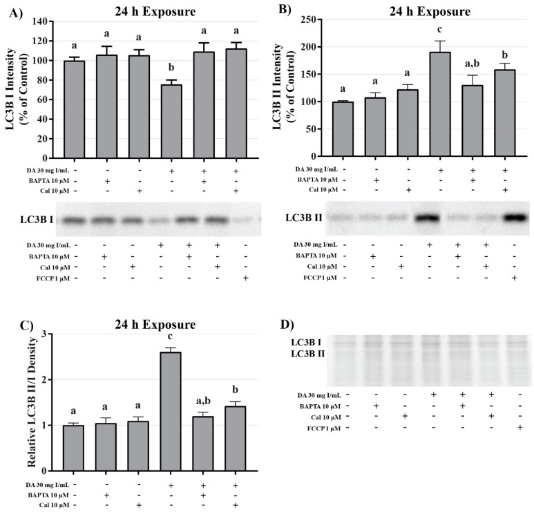 Figure 20