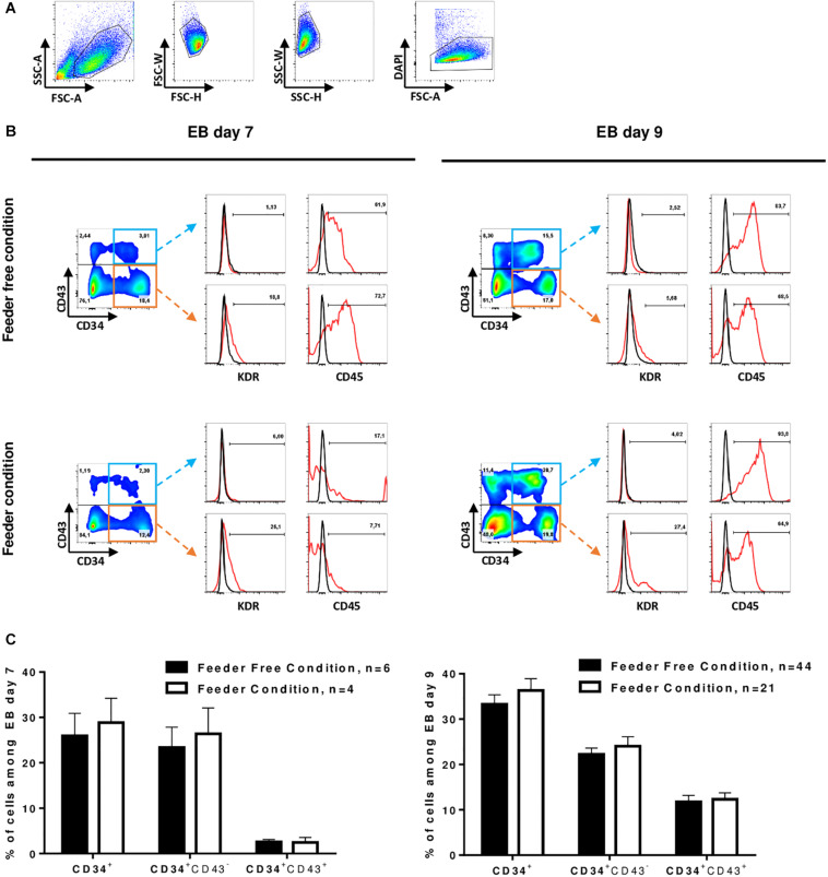 FIGURE 2