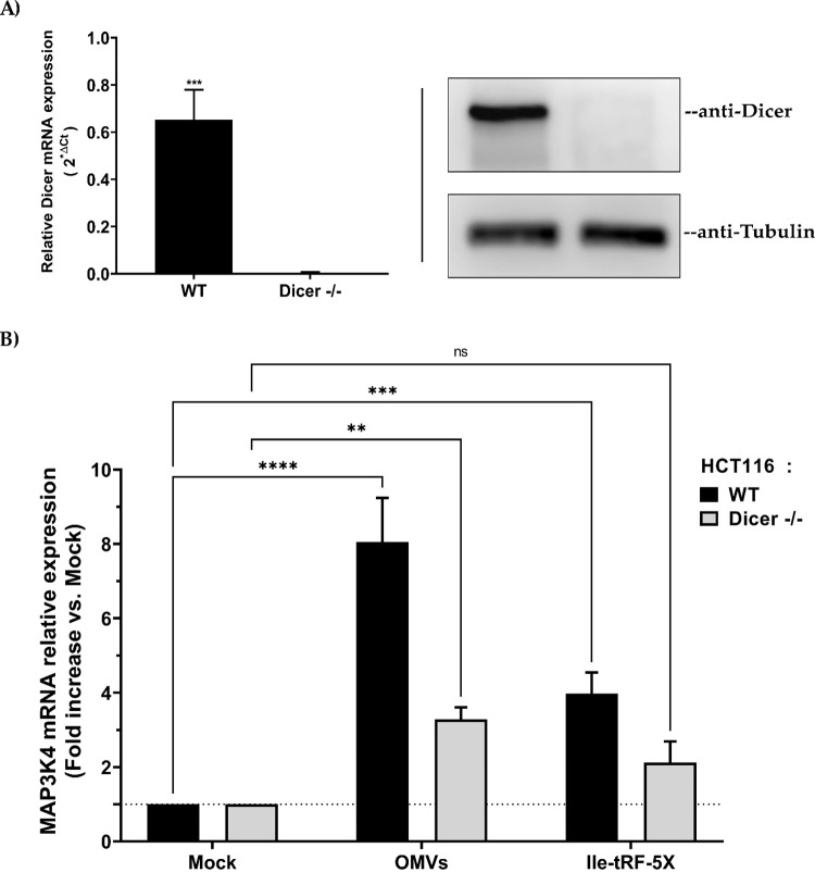 Fig 9