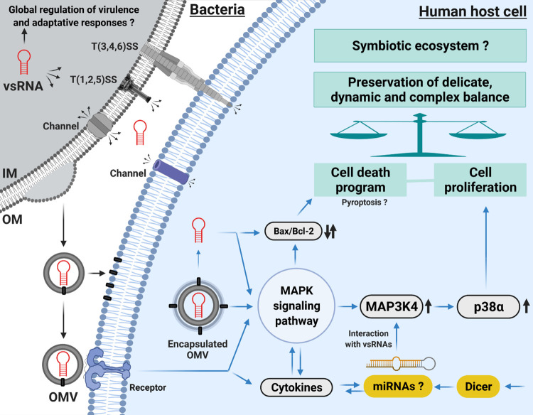 Fig 12