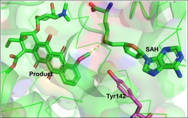 Figure 2