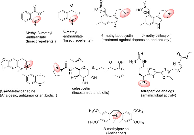 Figure 11