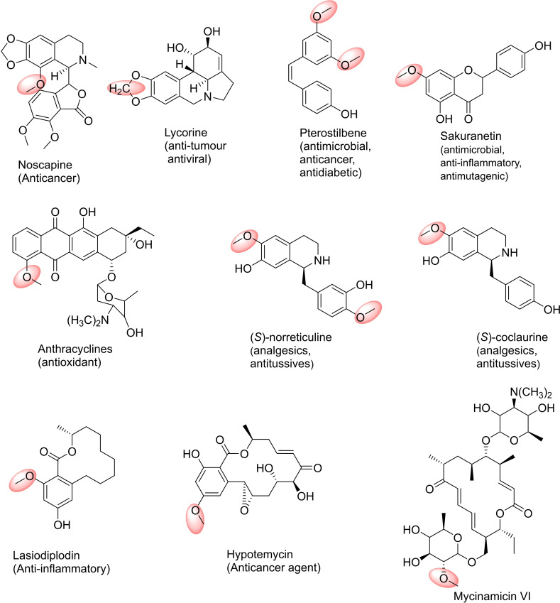 Figure 10