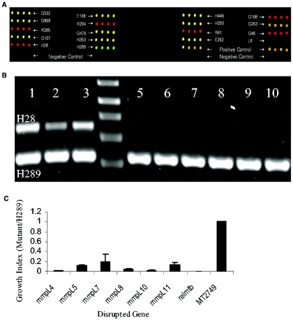 FIG. 4.