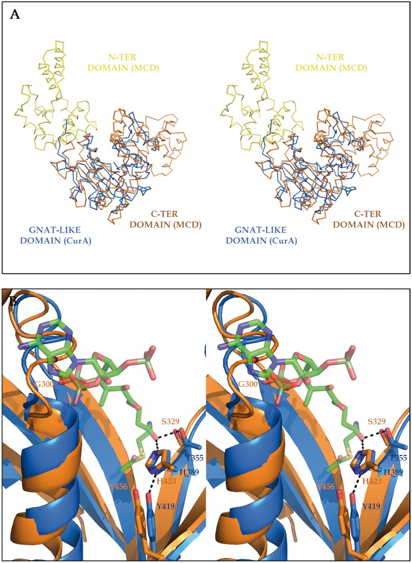 FIGURE 4.