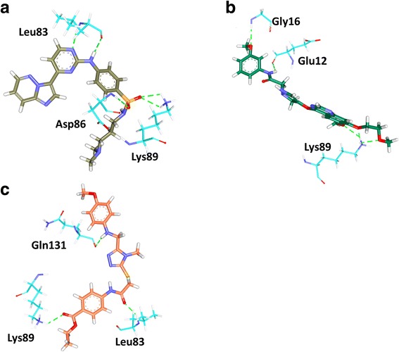 Fig. 19