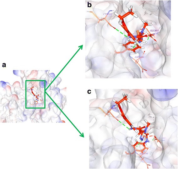 Fig. 15