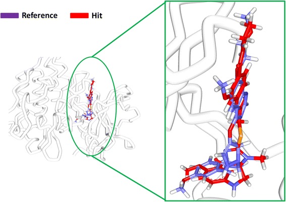 Fig. 13