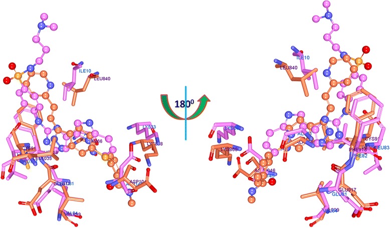 Fig. 21