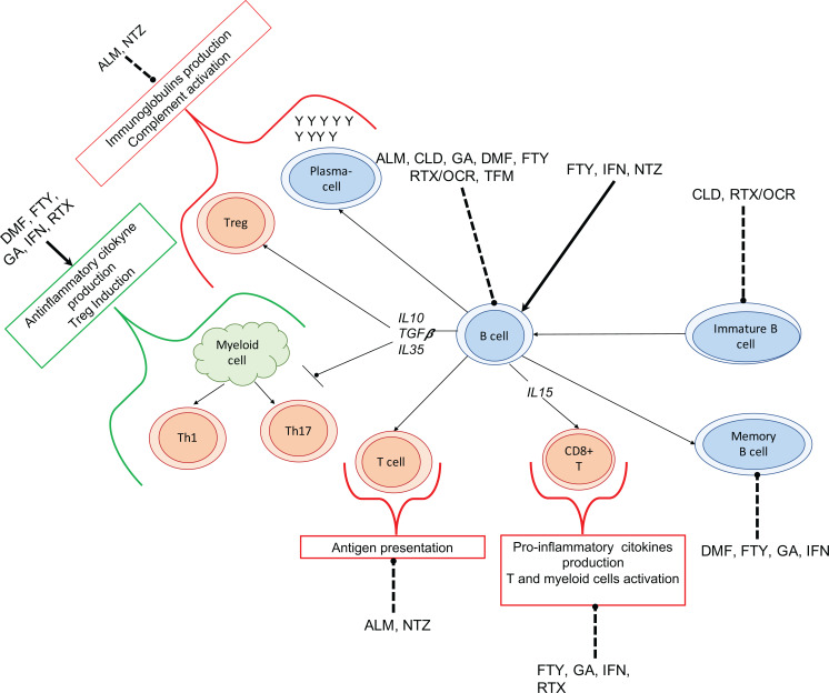 Fig. (3)