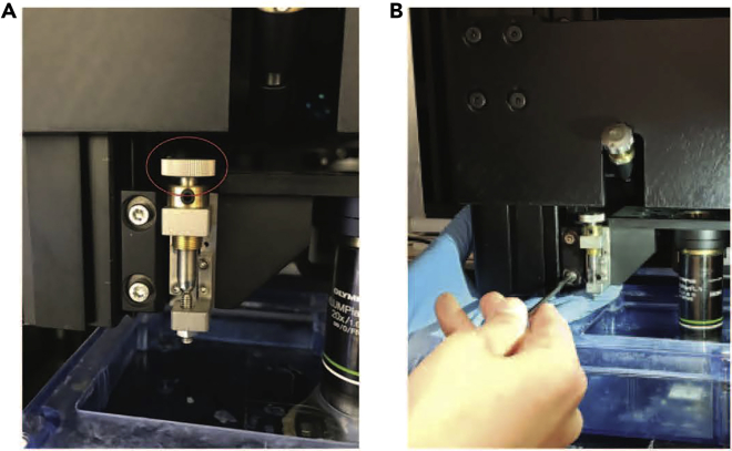 Figure 13