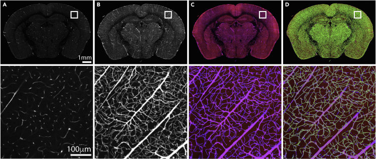 Figure 12