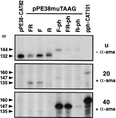 FIG. 6