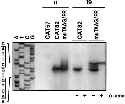 FIG. 5