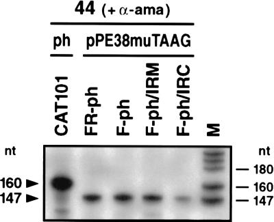 FIG. 7