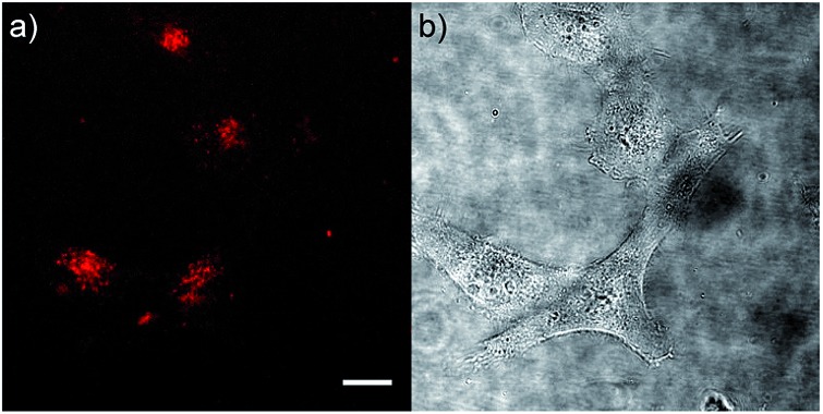 Fig. 12