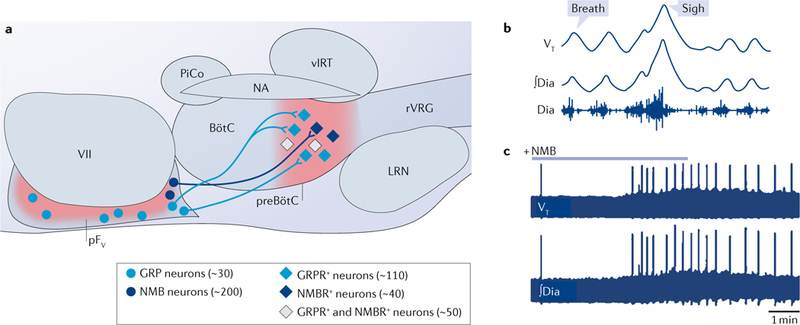 Fig. 4 |