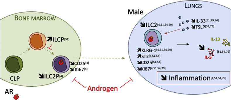 Fig. 6