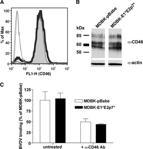 FIG. 7.