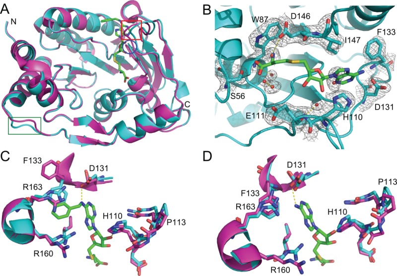 Figure 5