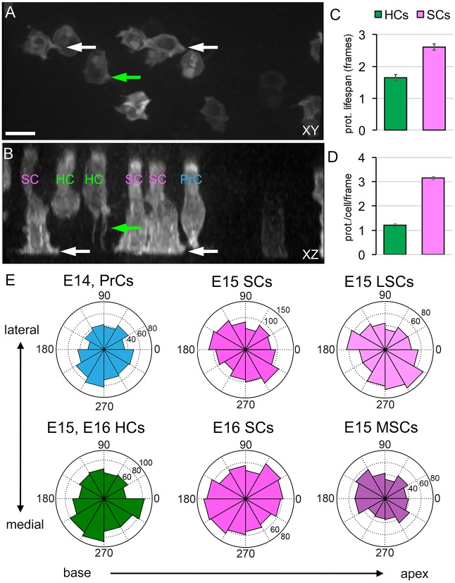 Fig. 4.