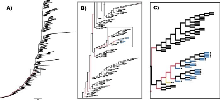 Figure 3.