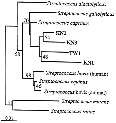 FIG. 1