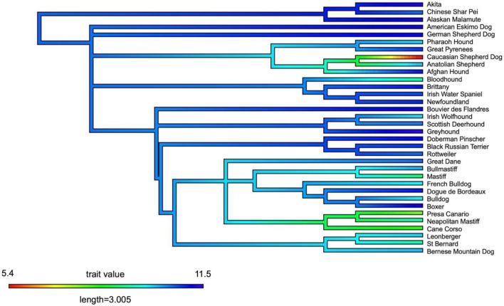 Figure 6