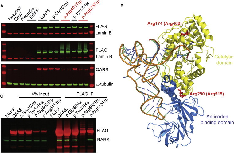 Figure 4