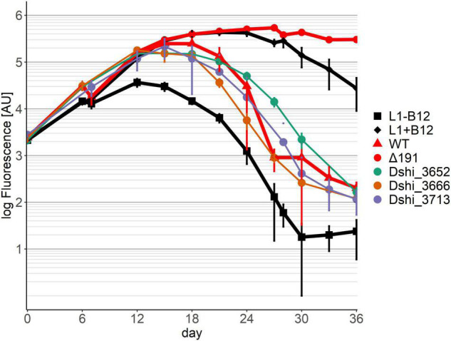 FIGURE 3