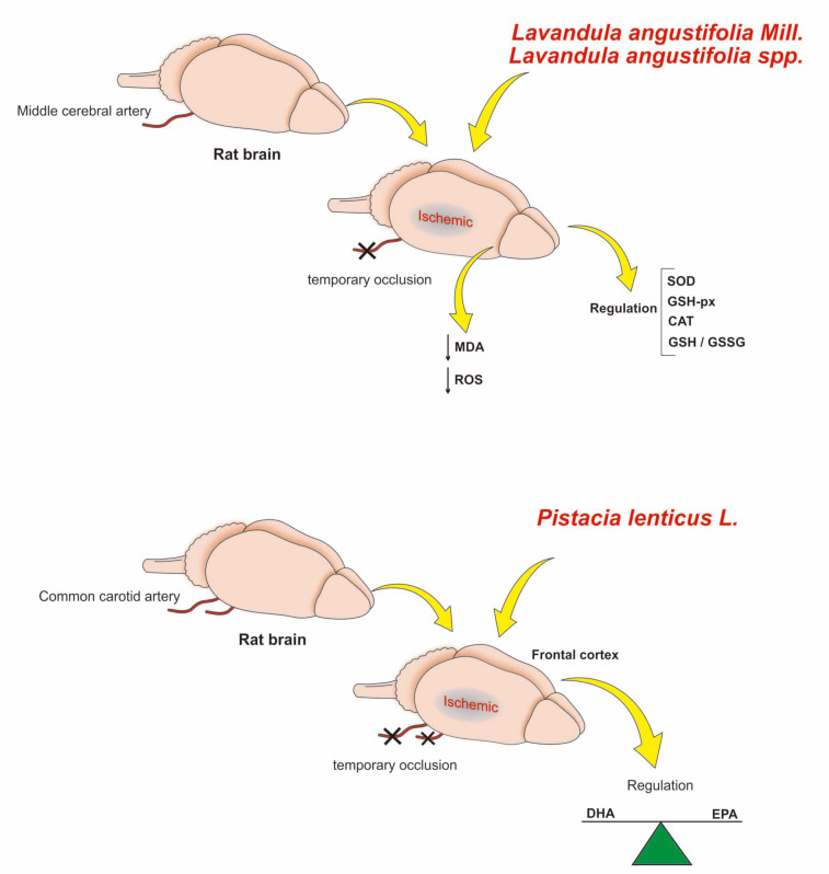 Fig. (4)