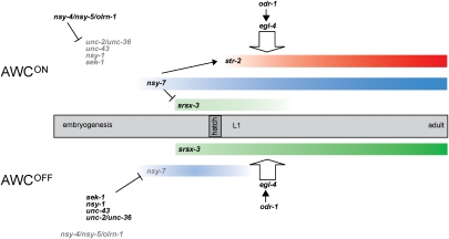 Figure 6.