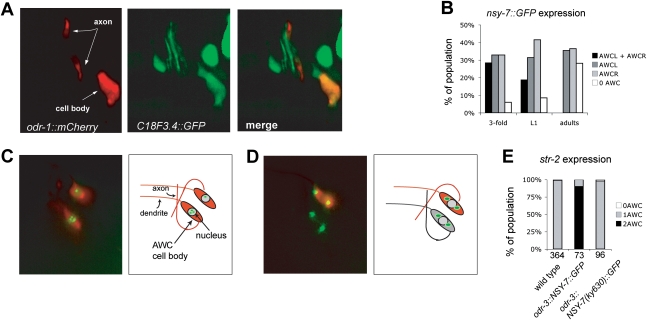 Figure 3.