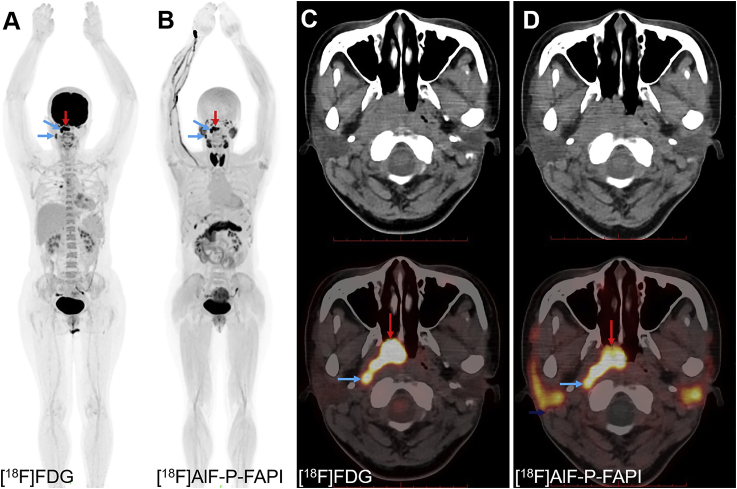 Figure 6