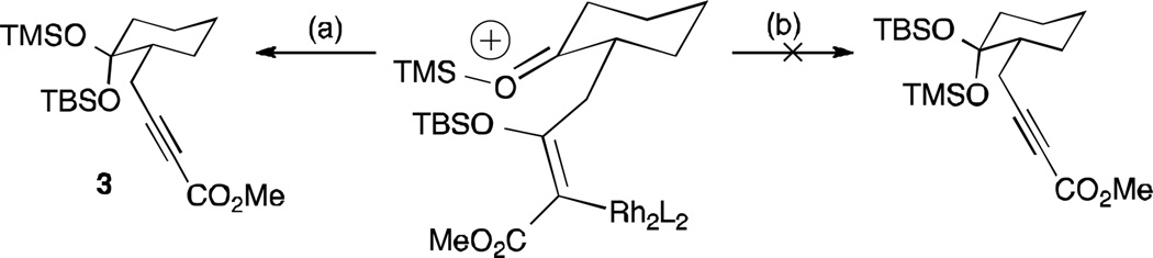 Scheme 3