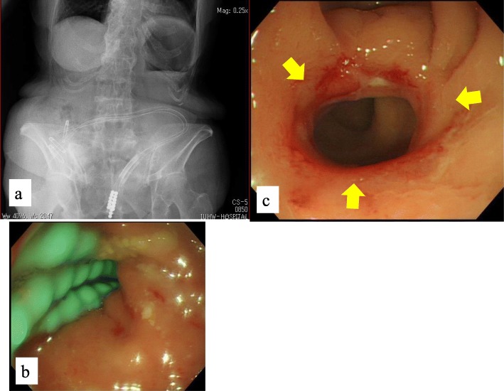 Fig. 6