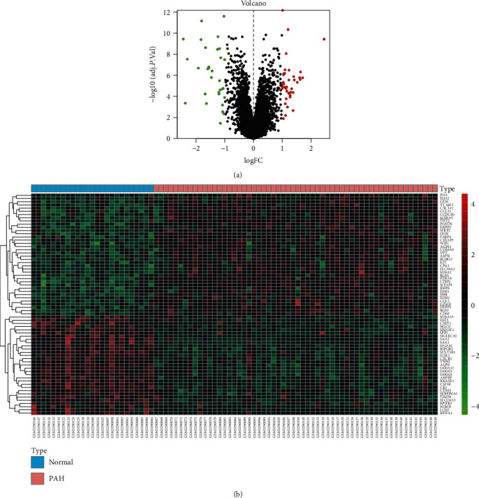 Screening of Hub Genes Associated with Pulmonary Arterial Hypertension ...