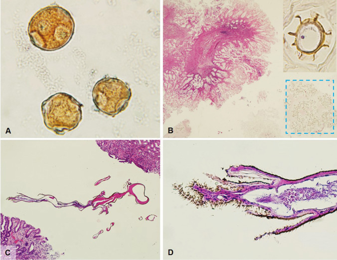 Fig. 8