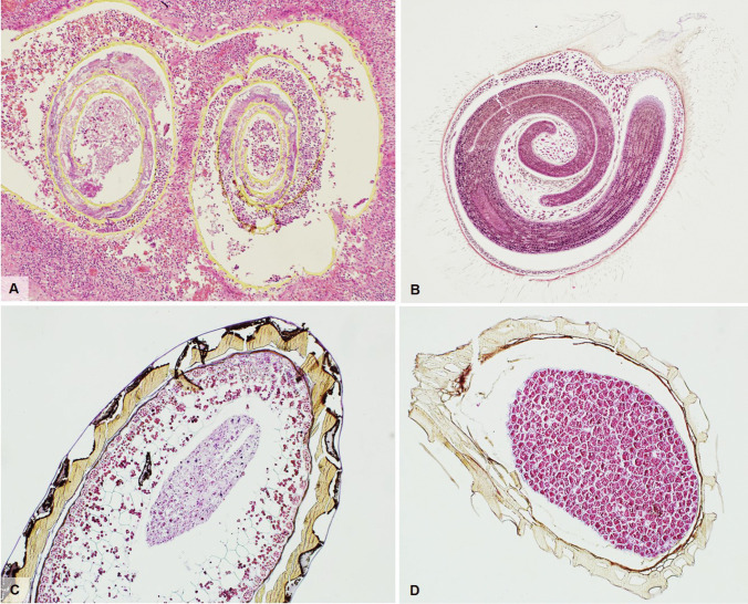 Fig. 7